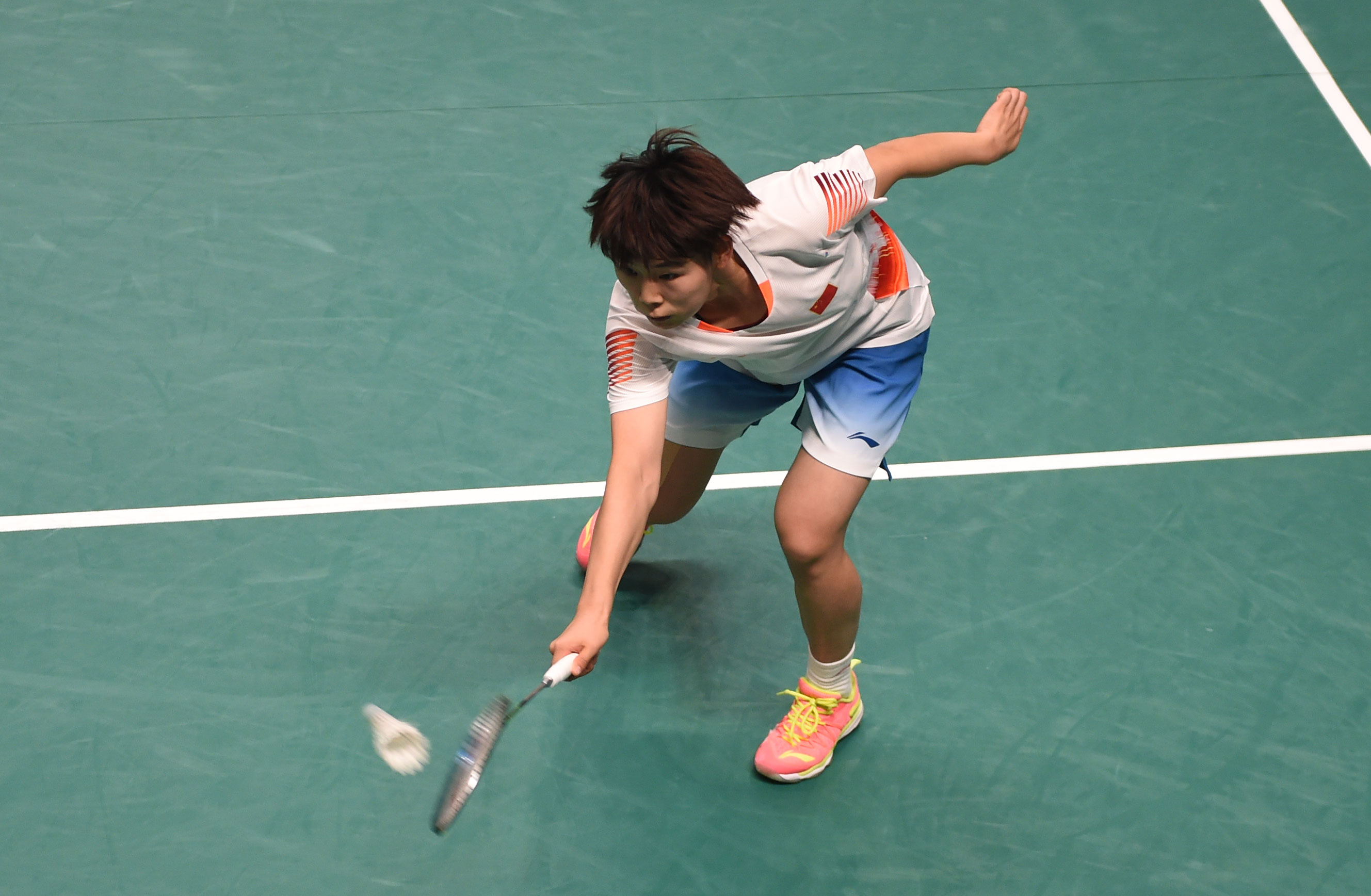 网球与羽毛 网球与羽毛